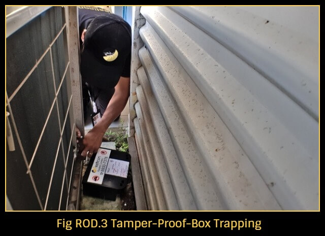 Why Your Rat Trap May Not Work – Ratsense Singapore